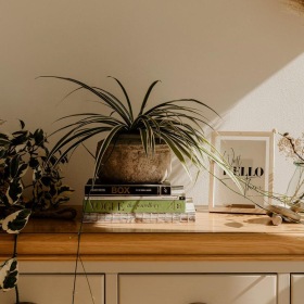 bureau top decorated with potted plants, books and framed pictures
